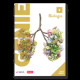 GENIE Biologie 5 Leerboek (incl. licentie)